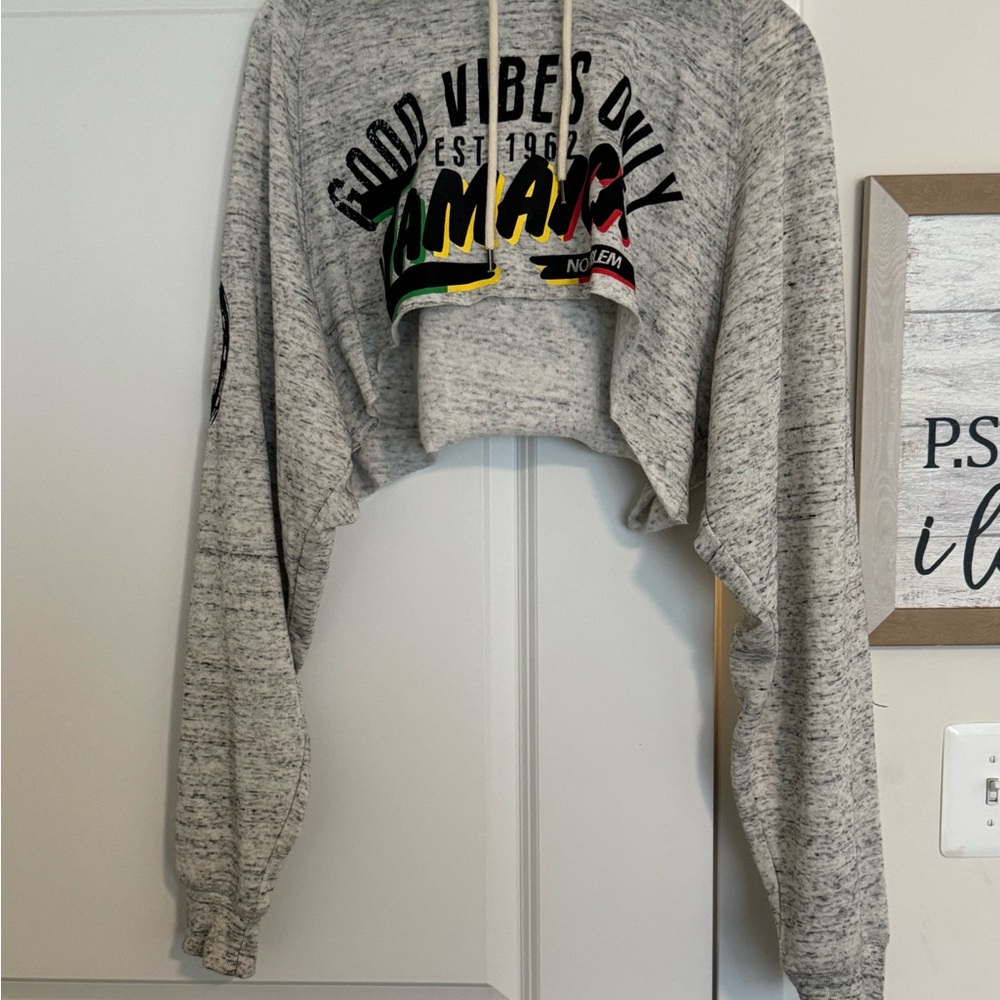 Gray Cropped Hoodie with Colorful Print